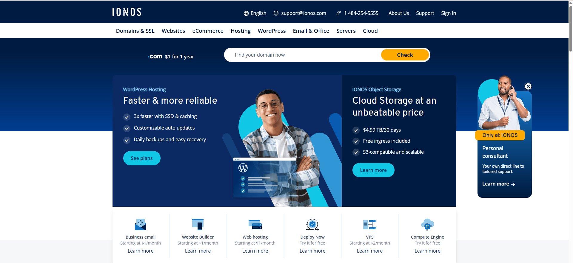 IONOS review